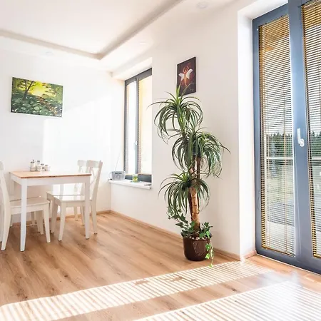 Apartment Scandic Plesivec Abertamy